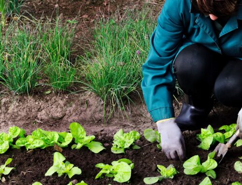 El colombiano Jairo Restrepo impartirá una formación sobre agricultura ecológica en Los Guadalperales