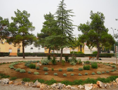 La plaza Rafael Alberti de Vva. de la Serena luce una nueva imagen natural con una rocalla