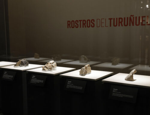 Los tartesos muestran su rostro por primera vez en una exposición del Museo Arqueológico