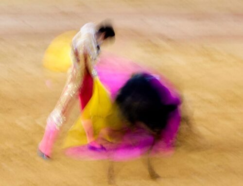 Inauguración de la exposición ‘La tauromaquia en movimiento’ en Vva. de la Serena