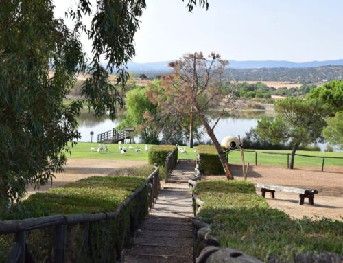 Comienza ‘Equipo Natura’ en Doña Blanca, un programa para conocer su flora y fauna