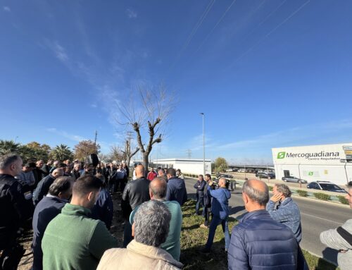 Productores de arroz protestan en Don Benito contra los bajos precios que pretende pagar la industria por su cosecha