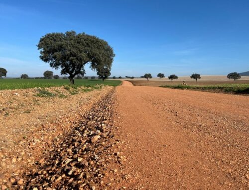 Finalizan los trabajos de acondicionamiento de 12 caminos rurales en el término municipal de Don Benito