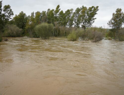 Villanueva retrasa la preparación de los caminos agrícolas por las lluvias
