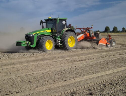 El sector del arroz en Extremadura arranca una nueva campaña marcada por la incertidumbre
